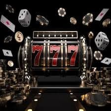 23win77
