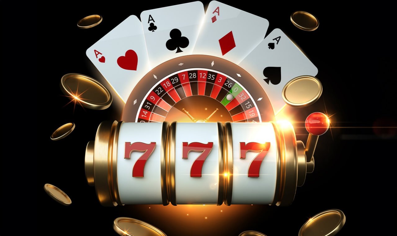 23win77