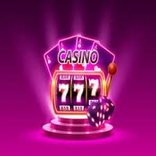 23win77